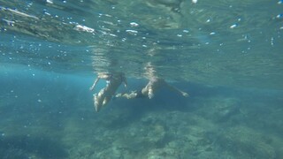 Athletic Europeans Get Wet - эксклюзивное порно REDPORN.TOP